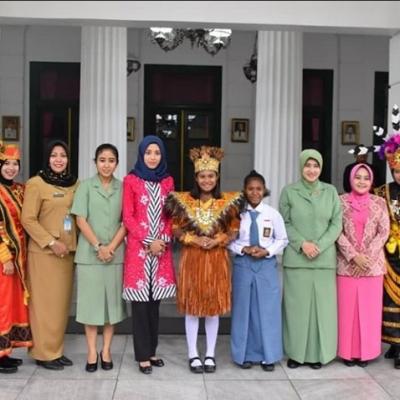 Program Adem